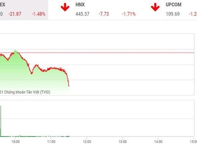 Giao dịch chứng khoán phiên sáng 23/12: Lực bán ồ ạt, VN-Index lao dốc