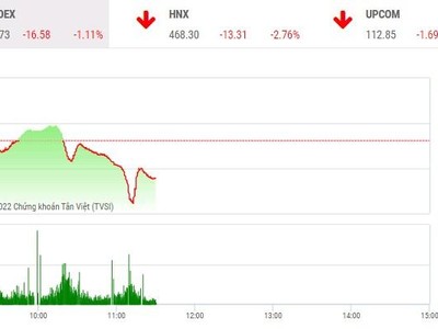 Phiên giao dịch chứng khoán sáng 12/1: Nhà đầu tư ồ ạt xả hàng, VN-Index rơi mạnh