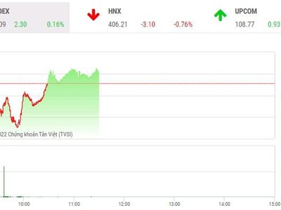 Giao dịch chứng khoán phiên sáng 20/1: Đẩy mạnh bắt đáy, hàng loạt mã tăng trần trở lại