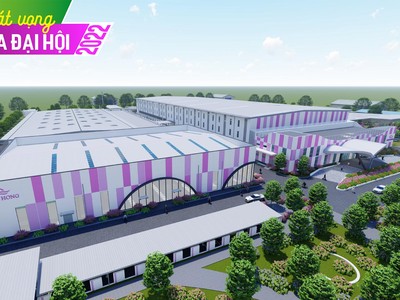 May Sông Hồng (MSH): Giải mã hiệu quả doanh nghiệp tăng vượt trội