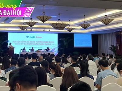 ĐHCĐ Hoàng Anh Gia Lai (HAG): Ông Đoàn Nguyên Đức thừa nhận "... thực tế nhiều người không tin tôi, vì mình đang là người thất bại"