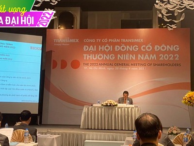 ĐHCĐ Transimex (TMS): Tiến hành thoái vốn tại Công ty liên doanh TNHH Nippon Express (Việt Nam)