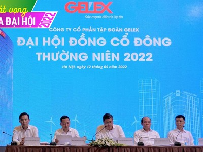 ĐHCĐ Gelex: Tăng trưởng 2 con số, IPO và niêm yết 2 công ty con