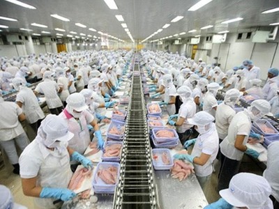 CTCP Vinam thông báo chào bán cổ phiếu ra công chúng