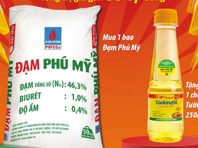PVFCCo tổ chức chương trình "Đạm Phú Mỹ - Đồng hành sẻ chia"