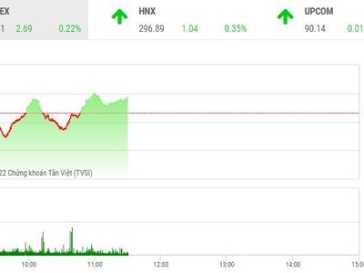 Giao dịch chứng khoán sáng 3/8: Chịu nhiều rung lắc, VN-Index vẫn đứng vững