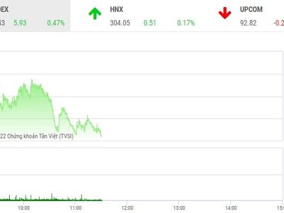 Giao dịch chứng khoán phiên sáng 11/8: Tăng là bán