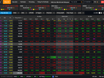 Bảng điện tử chỉ hiện 2 cột dư bán, trong khi bên dư mua trống không của mã OGC lúc 13h10 chiều 14/9.