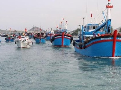 Nhằm gỡ “Thẻ vàng” khai thác thuỷ sản, Chính phủ duyệt Đề án Phòng, chống khai thác hải sản bất hợp pháp