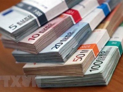 Đồng euro tại một ngân hàng ở Heidelberg, Đức. (Ảnh: AFP/TTXVN)