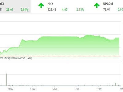 Giao dịch chứng khoán chiều 12/10: Ngân hàng, thép, bất động sản đua nhau khoe sắc tím, HAG bị xả mạnh 