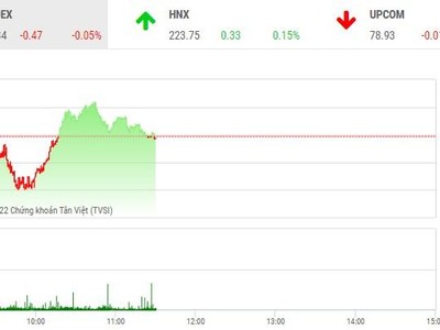 Giao dịch chứng khoán phiên sáng 13/10: Nhà đầu tư thận trọng sau phiên hưng phấn 