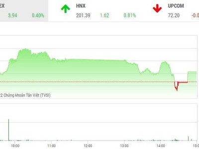 Phiên giao dịch chứng khoán chiều 9/11: VN-Index thoát hiểm, nhà đầu tư bắt đáy DIG lỗ lớn ngay trong phiên