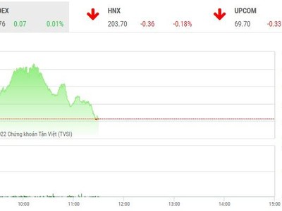 Giao dịch chứng khoán phiên sáng 29/11: PDR được "giải cứu", VN-Index trượt dốc do áp lực chốt lời