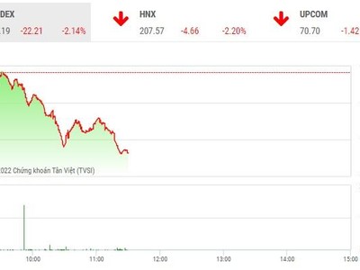 Giao dịch chứng khoán phiên sáng 20/12: Lực cung lấn át, VN-Index tiếp tục giảm sâu