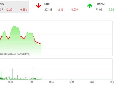 Giao dịch chứng khoán phiên sáng 29/12: Cổ phiếu của Shark Thủy được "giải cứu", thị trường vẫn giao dịch ảm đạm