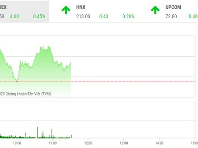Phiên giao dịch sáng 4/1: Hiện thực hóa lợi nhuận, thu lộc đầu năm