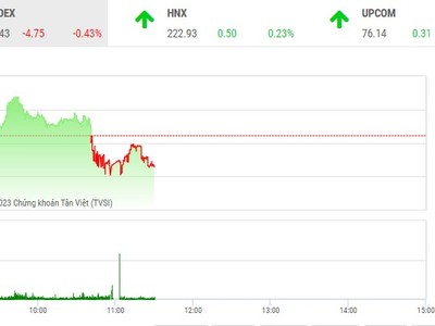 Giao dịch chứng khoán sáng 1/2: Nhà đầu tư chốt sớm, thị trường đảo chiều 
