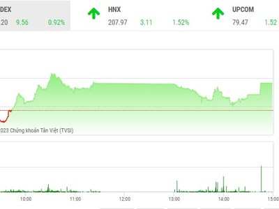 Giao dịch chứng khoán phiên chiều 15/2: Tích cực bắt đáy 