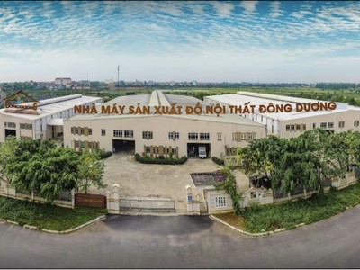 CTCP Thương mại và Xây dựng Đông Dương thông báo chào bán cổ phiếu ra công chúng