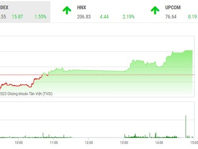 Phiên giao dịch chiều 1/3: DIG được cứu, nhà đầu tư mạnh dạn bắt đáy