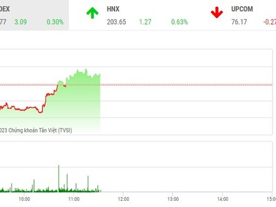 Phiên giao dịch sáng 1/3: Lực cầu bắt đáy nhập cuộc, thị trường “quay xe”, DIG bị bán tháo