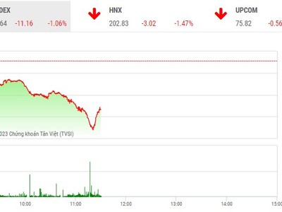 Giao dịch chứng khoán phiên sáng 14/3: Chìm trong sắc đỏ