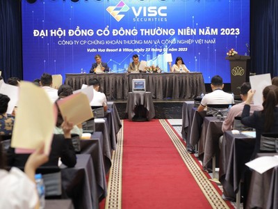 ĐHCĐ 2023 Chứng khoán VISC (VIG): Đổi tên, phát hành 50 triệu cổ phiếu riêng lẻ, bóng dáng của TIG trong tái cấu trúc
