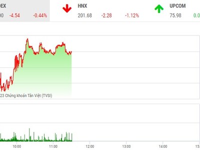 Giao dịch chứng khoán phiên sáng 23/3: Dòng tiền èo uột, thị trường quay đầu điều chỉnh