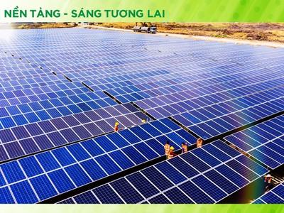 Bamboo Capital (BCG) linh hoạt điều chỉnh chiến lược kinh doanh để giữ vững đà tăng trưởng