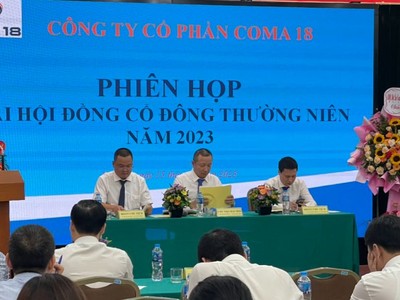 ĐHCĐ Coma 18 (CIG): Tập trung vào dự án Khu công nghiệp Kim Thành, đặt mục tiêu có lãi trở lại