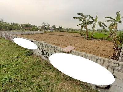 Nhu cầu về đất nền đang "rơi" mạnh. Ảnh: Bình Minh.