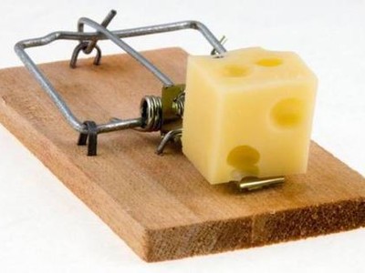 Những miếng "pho-mát" hấp dẫn...