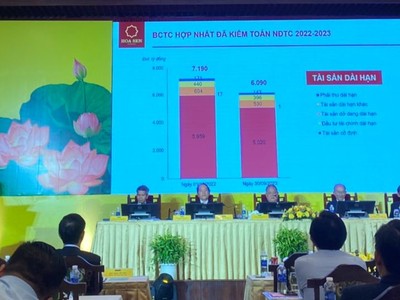 ĐHĐCĐ Hoa Sen (HSG): Ông Lê Phước Vũ lùi thời điểm xuất gia, sẽ giao điều hành cho con gái út sinh năm 2001 sau khi nghỉ