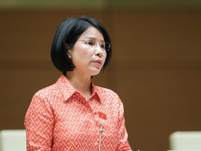 Bà Trần Thị Nhị Hà (Ảnh:media.quochoi).