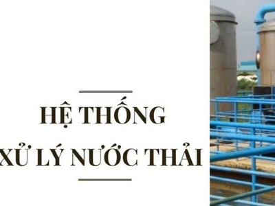 Kiến nghị xử phạt Tập đoàn Thái Tuấn vì vi phạm quy định bảo vệ môi trường