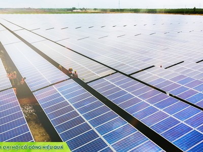 Mảng Năng lượng tái tạo đóng góp đến 320,4 tỷ đồng, tương ứng 32,5% tỷ trọng doanh thu quý 1/2024 của Bamboo Capital