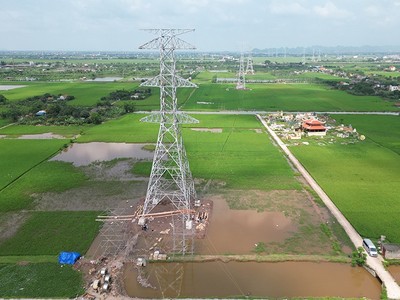 Dự án đường dây 500 kV NMNĐ Nam Định I - Thanh Hoá có 180 vị trí móng cột, 74 khoảng néo