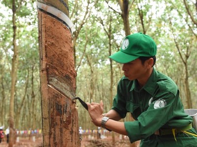 PHR: Giá cổ phiếu ngược chiều lợi nhuận