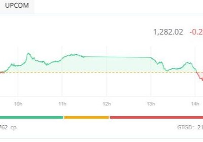 Nhiều cổ phiếu lập đỉnh mới, VN-Index vẫn điều chỉnh
