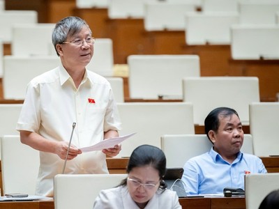 Đại biểu Nguyễn Anh Trí nêu chất vấn. 