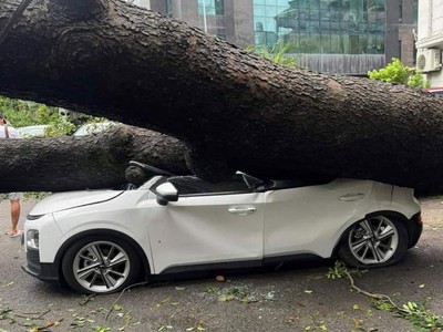 Bảo hiểm Ngân hàng Công thương ước bồi thường hàng trăm tỷ đồng do báo Yagi