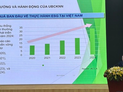 Một số doanh nghiệp áp dụng ESG một cách bị động và đối phó
