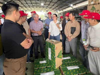 Ông Đoàn Nguyên Đức: “Hoàng Anh Gia Lai chỉ làm nông nghiệp, phát triển trong hệ sinh thái nông nghiệp và sẽ làm rất thận trọng”