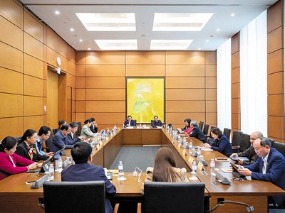 Phiên thảo luận tổ 8 về Đề án bổ sung về phát triển kinh tế - xã hội năm 2025 với mục tiêu tăng trưởng đạt 8% trở lên