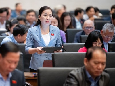 Đại biểu Đỗ Thị Lan phát biểu tại hội nghị.