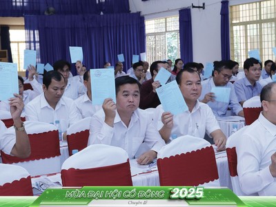 Các đại hội đồng cổ đông cần đảm bảo việc thực hiện quyền “một cổ phiếu - một phiếu bầu” 