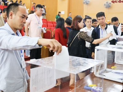 Đất đấu giá huyện Quốc Oai tiếp tục lập đỉnh mới, giá trúng gần 120 triệu đồng/m2 