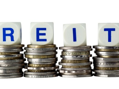 Ảnh: Shutterstock.