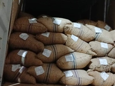 Nhiều doanh nghiệp chủ quan chấp nhận nhà cung cấp đóng hạt điều trong bao bì cũ, nhãn mác không đúng quy định.